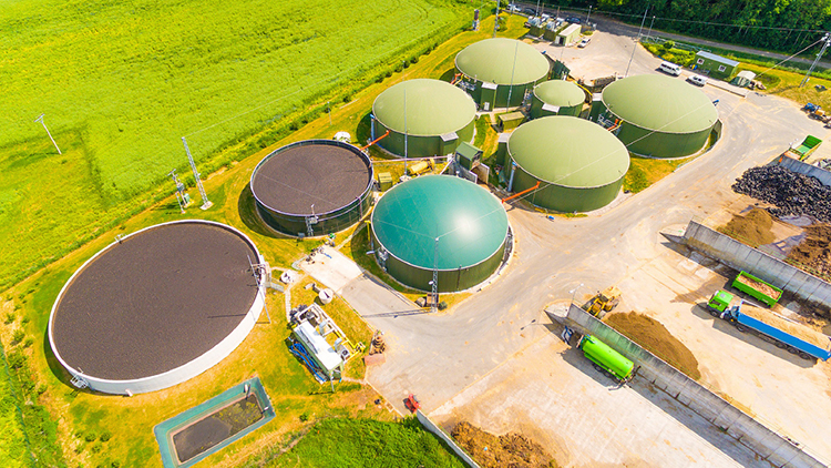 biogas-creates-new-economic-realities