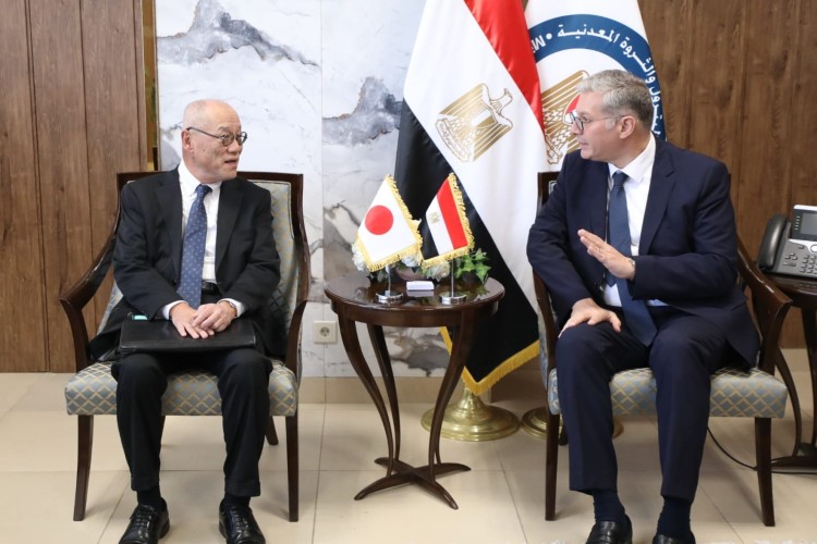 Badawi Highlights Egypt’s Sustainable Energy Goals in Meeting with Japanese Delegation