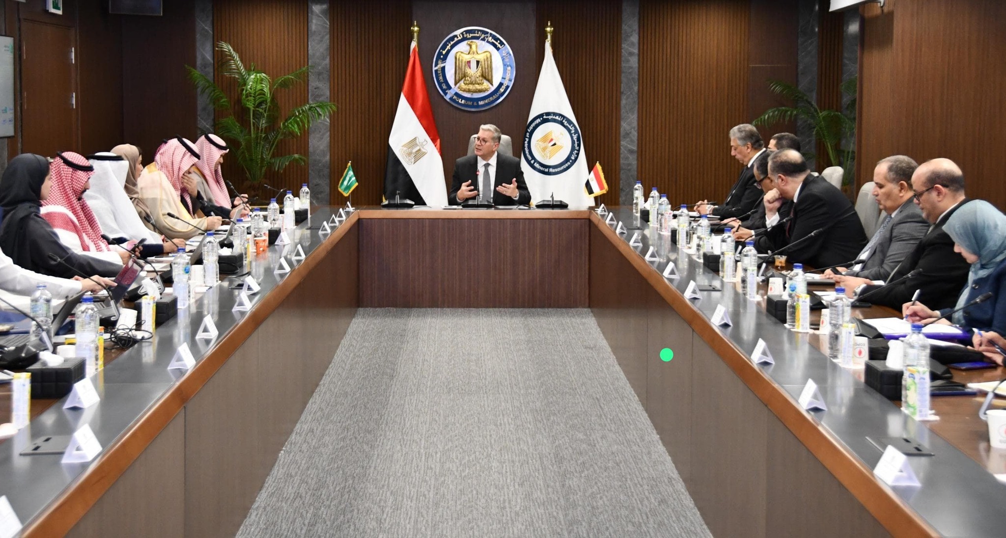 Egypt, Saudi Arabia Explore Cooperation in Energy Efficiency