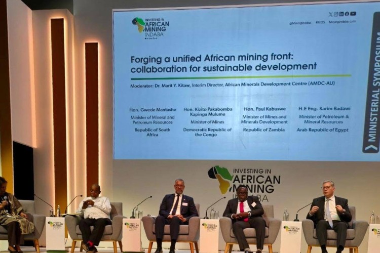 Badawi Participates in Top Ministerial Panel Held During African Mining