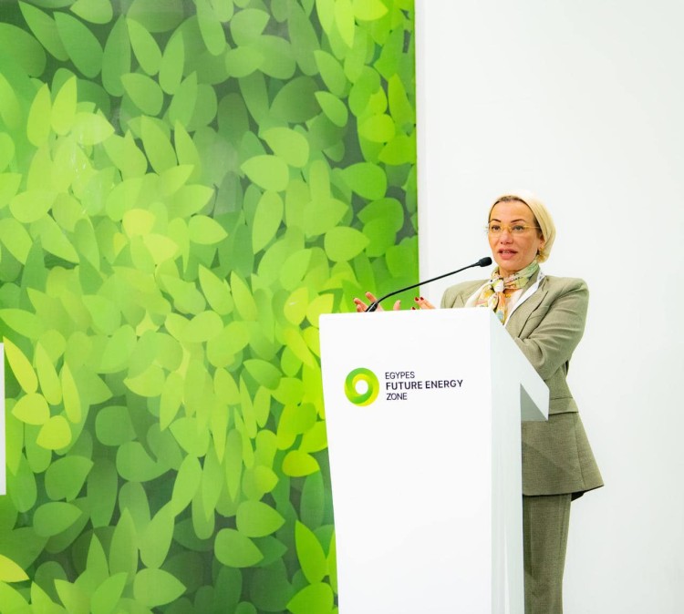 Minister of Environment Reviews Egypt’s Endeavors to Expand the Use of Renewable Energy at EGYPES 2025