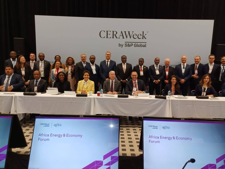 Badawi Shares Insights Regarding Energy, Economy in Africa Forum