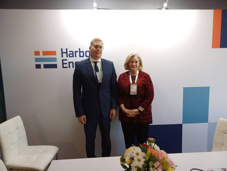 Egypt, Harbour Energy Examine Plans to Boost Natural Gas Output