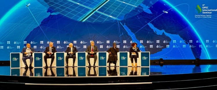 Badawi outlines Egypt’s Energy Strategy at OPEC Meetings