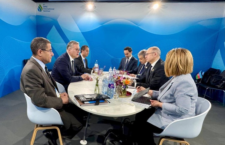 Egypt, Azerbaijan Explore Petroleum Trade, Upstream Investment Opportunities at OPEC Seminar