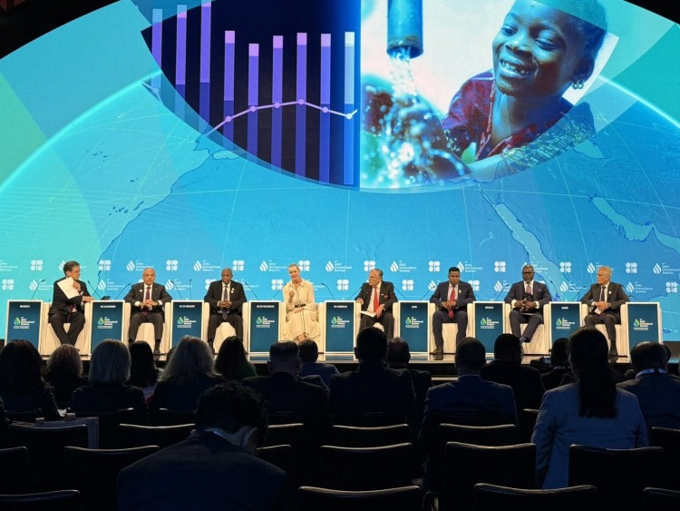 AEC Calls for Lifting Restrictions on Financing Oil, Gas Projects in Africa