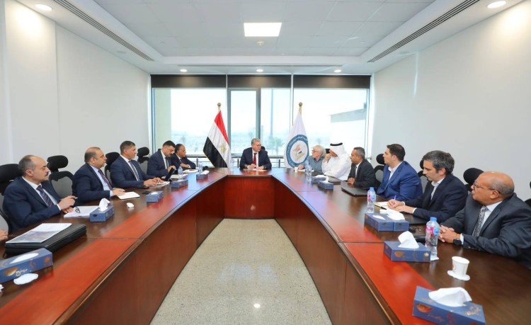 Badawi in Talks with Survey Firms to Build Egypt’s National Mining Database