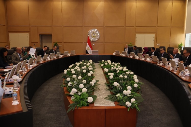 Supreme Council of Energy Discuss Energy Supply for Industrial Projects