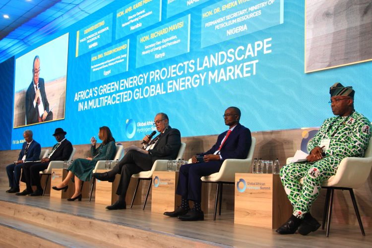 Egypt Affirms Commitment to Clean Energy at Global African Hydrogen Summit