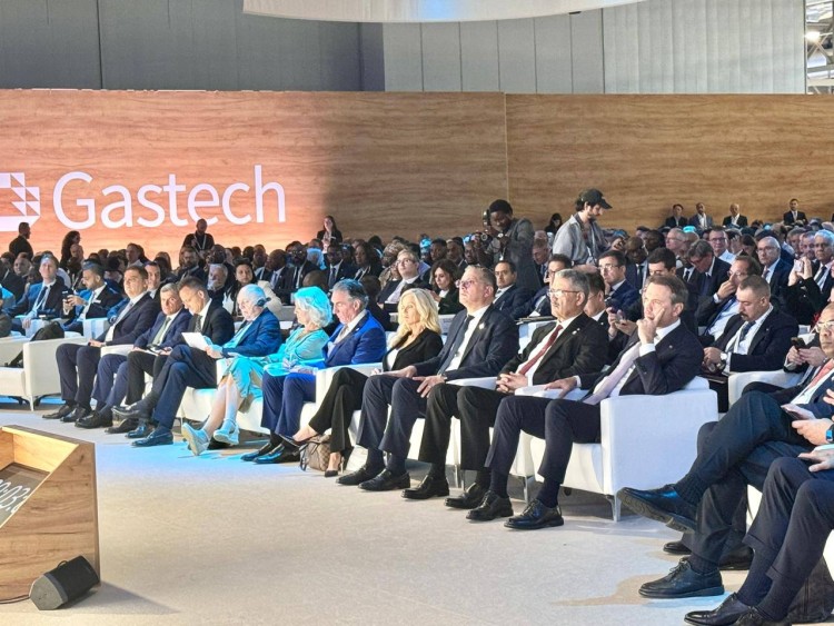 Egypt Launches $117mn OBN Seismic Survey Project in Eastern Mediterranean