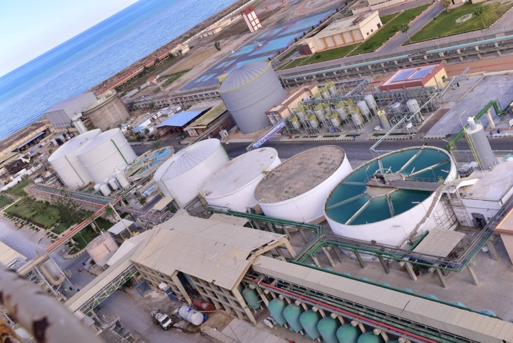 Abu Qir Fertilizers Expands Exports to 22 Countries, Cuts 1.3MT of CO₂ Emissions in FY 2024/25