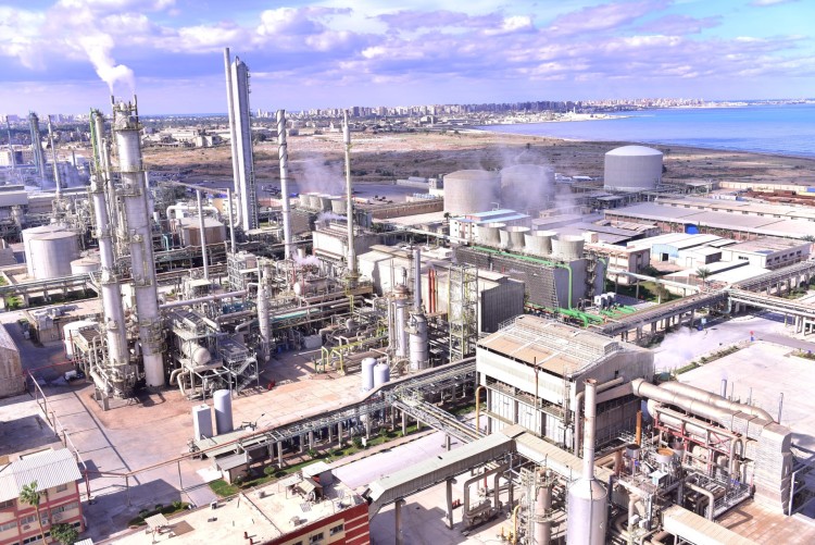 Abu Qir Fertilizers’ Net Profit Rebounds in Q1 FY2025/26