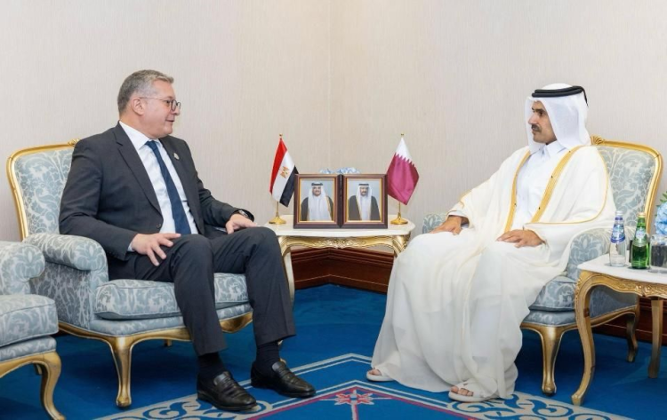 Egypt, Qatar Discuss Expanding Oil, Gas Partnership at GECF