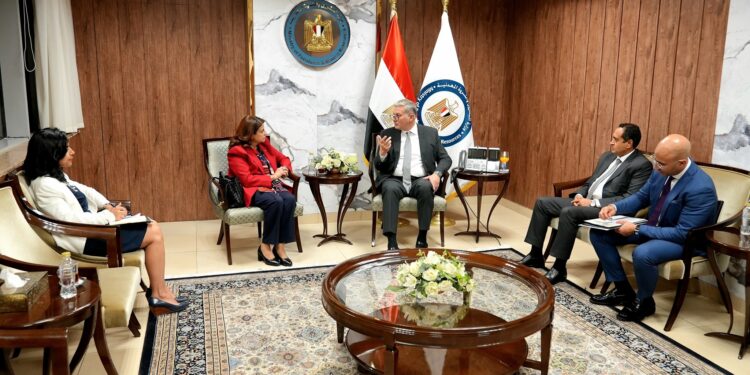 Badawi, Shell Discuss Boosting Natural Gas Investments in Egypt