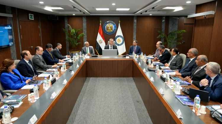 Badawi Chairs First Meeting of EGYPES 2026 Higher Committee