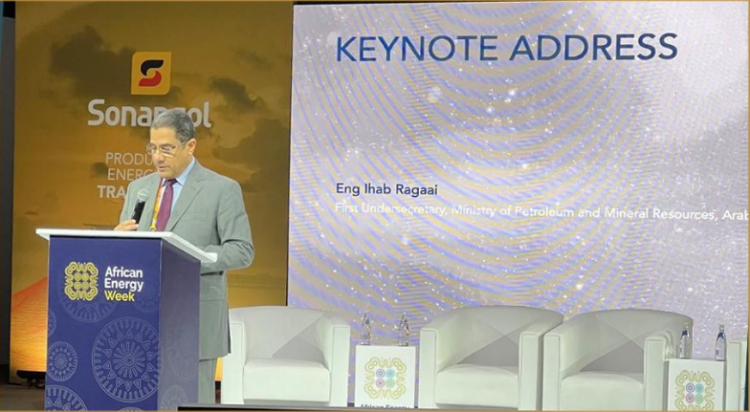 Egypt Highlights Reforms and Incentives Strengthening Investment Climate at AEW