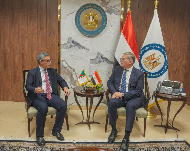 Egypt, Algeria Talk Energy Cooperation Ahead of Joint Committee
