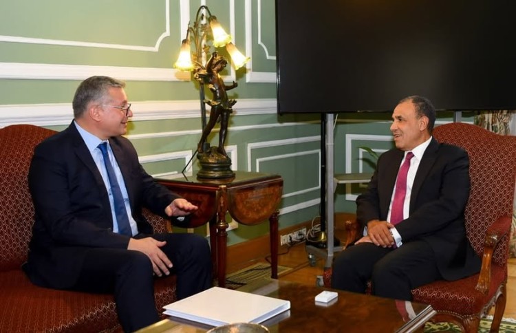 Badawi, Abdel-Atty Meet to Boost Energy Exports, Attract Foreign Investment