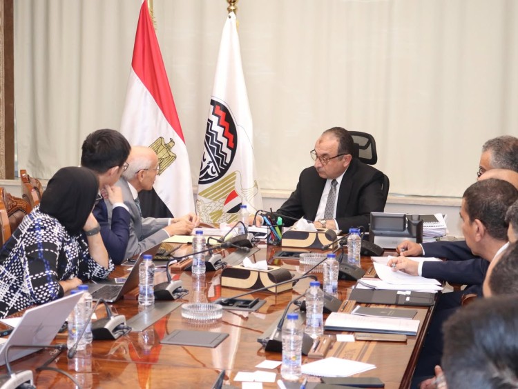 Egypt, Chinese Envision Energy to Establish Green Ammonia Plant in Suez 