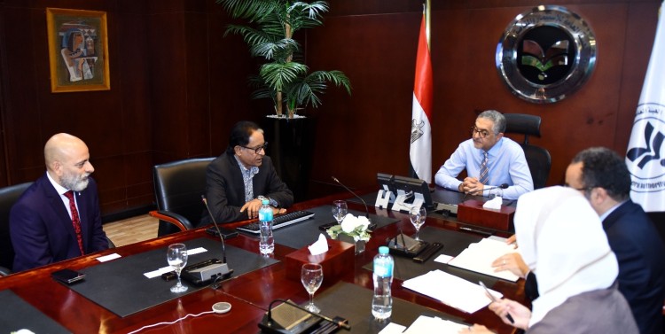 Destiny Commits $210 Mn Investment to Egypt’s Green Hydrogen, Ammonia Output
