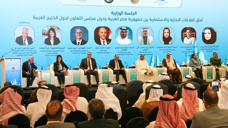 Badawi Highlights Regional Energy Projects at Egypt-GCC Forum
