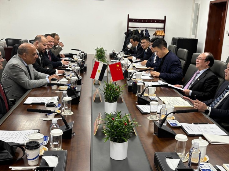 Esmat Explores Cooperation in Renewables, Mining with China