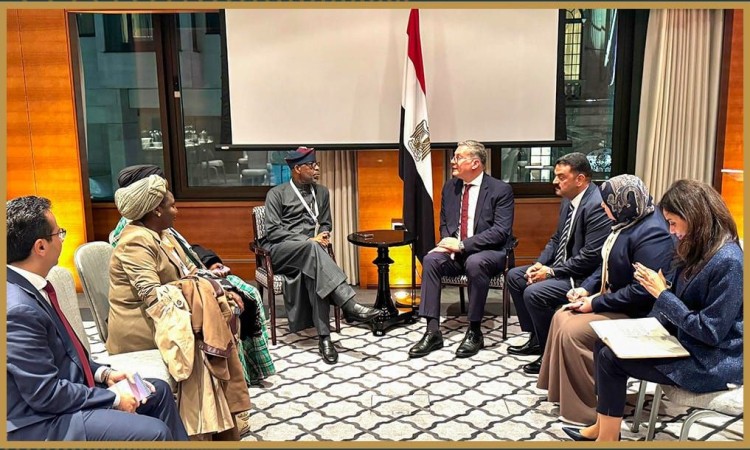 Egypt, Nigeria Explore Deeper Mining Partnership