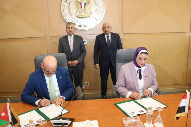 Egypt, Jordan Sign 2026 Electricity Exchange Contract
