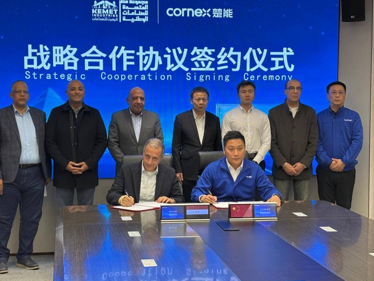 Egypt Seeks Chinese expertise to Localize Manufacturing of Energy Storage Batteries