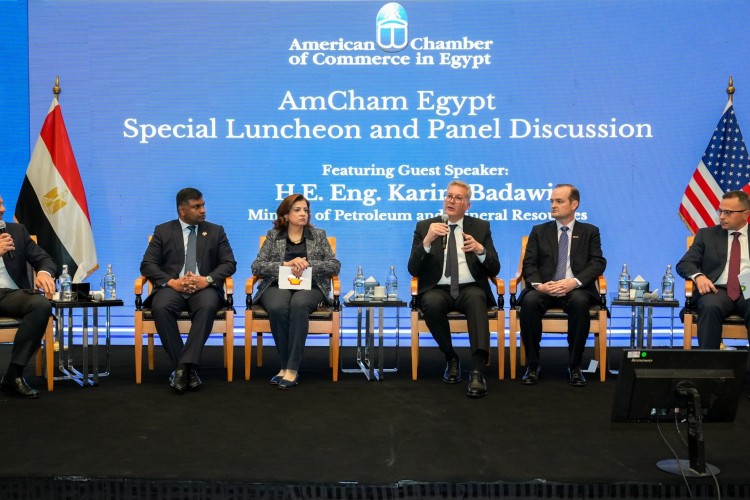 badawi-at-amcham-egypt-clears-energy-debt-unlocks-investment