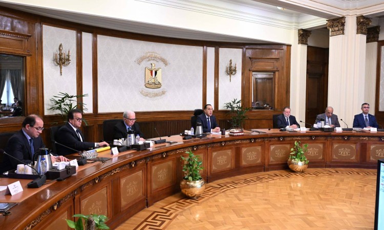 Madbouly Urges Solar Shift for Homes, Industry