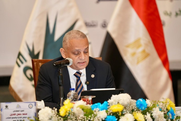 Egypt Gas Revenues Records 20% Surge in 2025