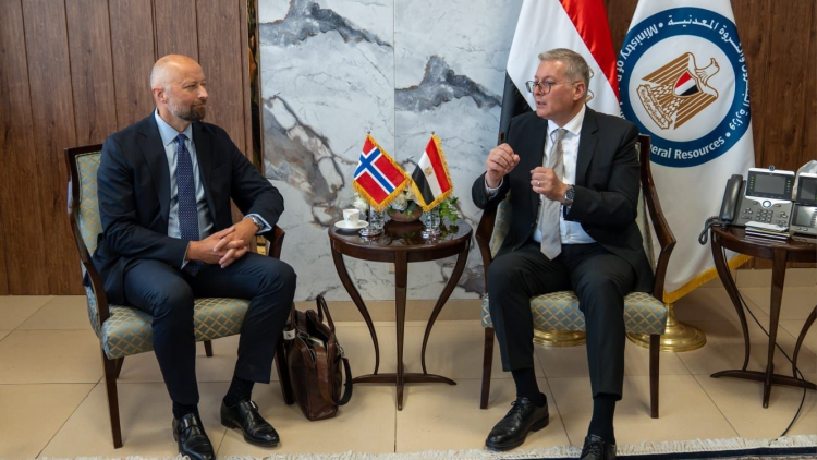 Egypt, Norway Agree on Five-Year Energy Cooperation Plan