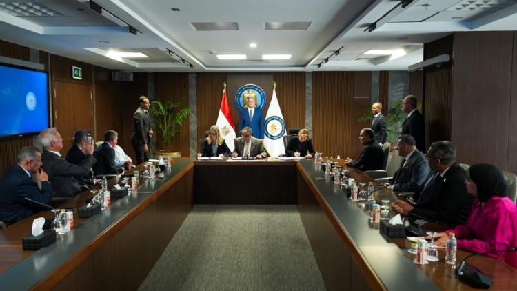 Capricorn, Cheiron to invest $208Mn in Consolidated Badr El Din Concession