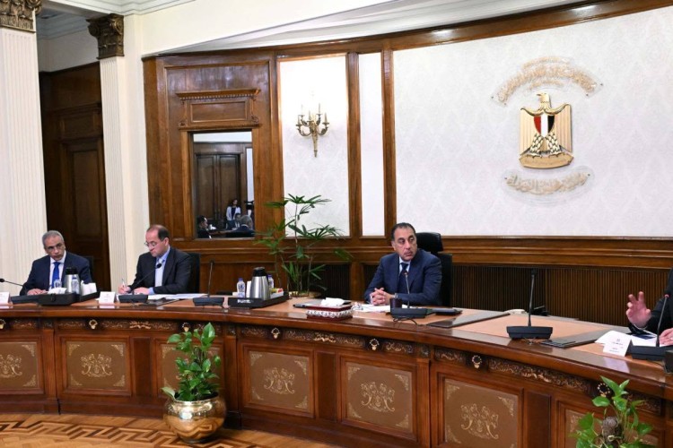 pm-reviews-financial-allocations-for-egypts-petroleum-supply