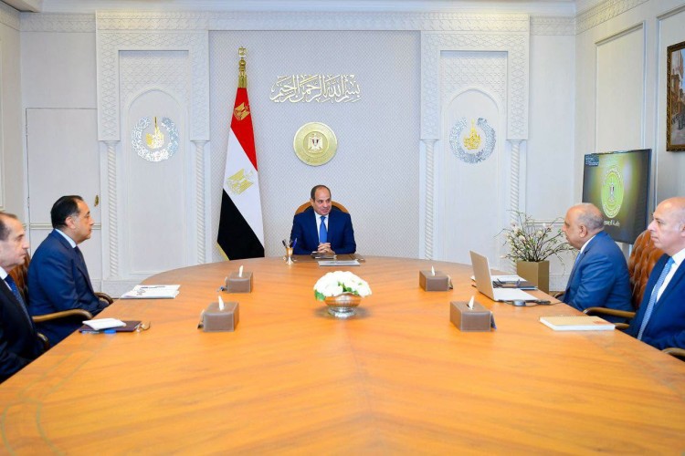 el-sisi-reviews-electricity-grid-expansion-renewable-energy-projects
