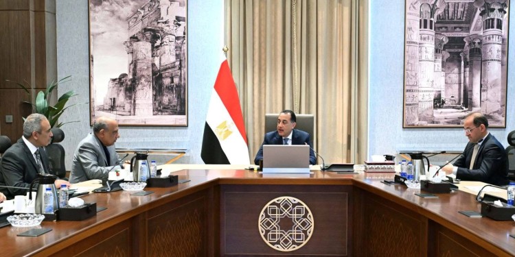 Madbouly Reviews Financing Mechanisms for Renewable Energy Projects