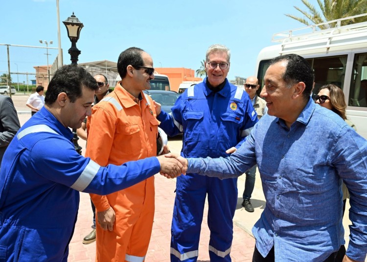 Madbouly, Foreign Partners Discuss WDDM Investments