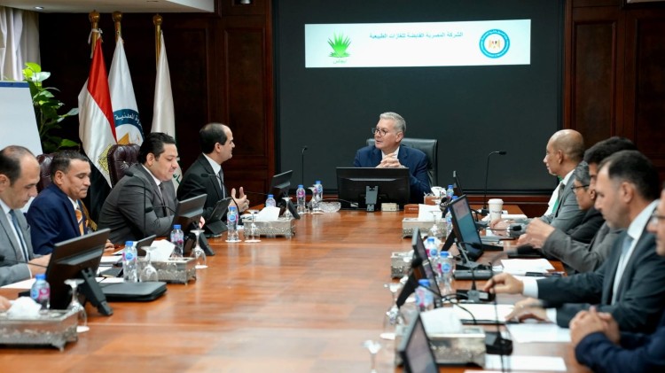 Badawi Reviews EGAS Projects Following New Discoveries