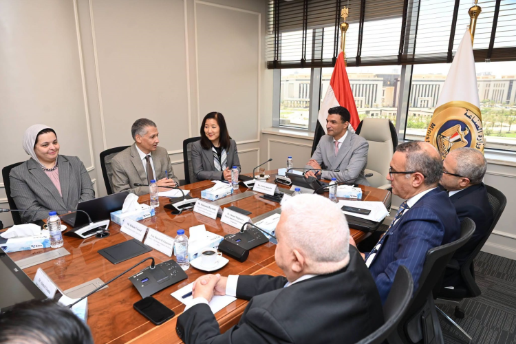 undp-backs-egypts-industry-with-200-mw-solar-initiative