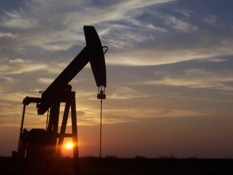 Alamein Petroleum Produces 613,200 Barrels as PetroZenima Reviews Output