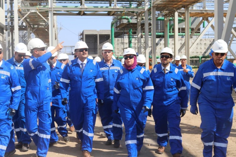 ECHEM Reviews Progress of Methanol Derivatives Project in Damietta