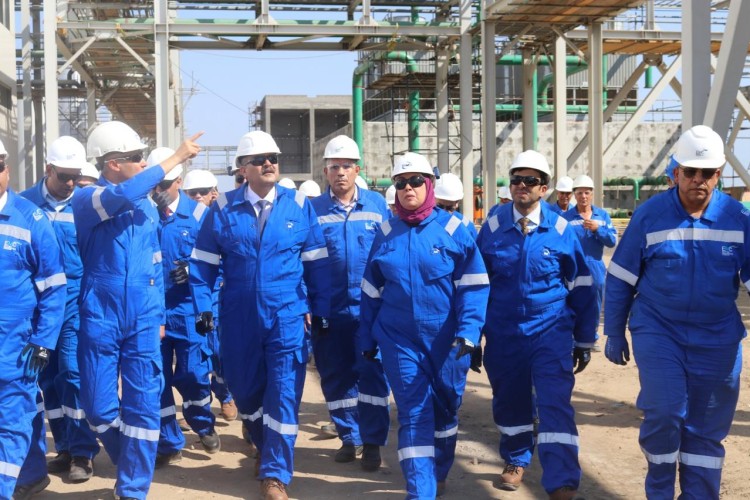 echem-reviews-progress-of-methanol-derivatives-project-in-damietta
