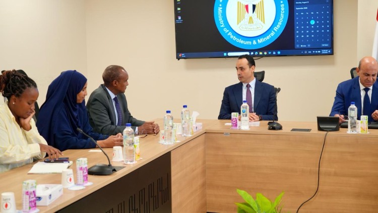 MoPMR, Kenya Discuss Green Manufacturing, Biofuel Cooperation
