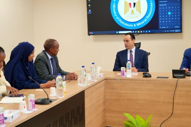 mopmr-kenya-discuss-green-manufacturing-biofuel-cooperation