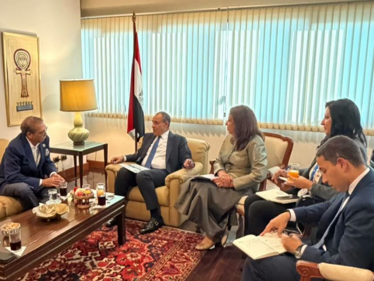 Foreign Minister Discusses Expanding Indorama Ventures’ Investments in Egypt