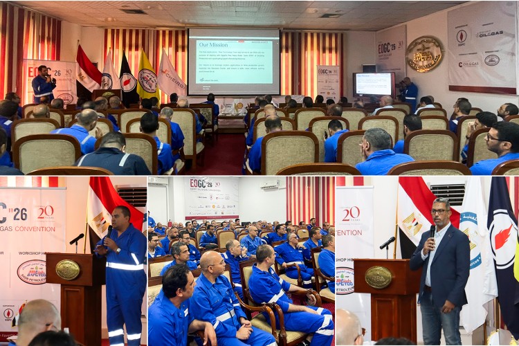 badr-3-hosts-western-desert-technical-workshop-ahead-of-eogc-2027